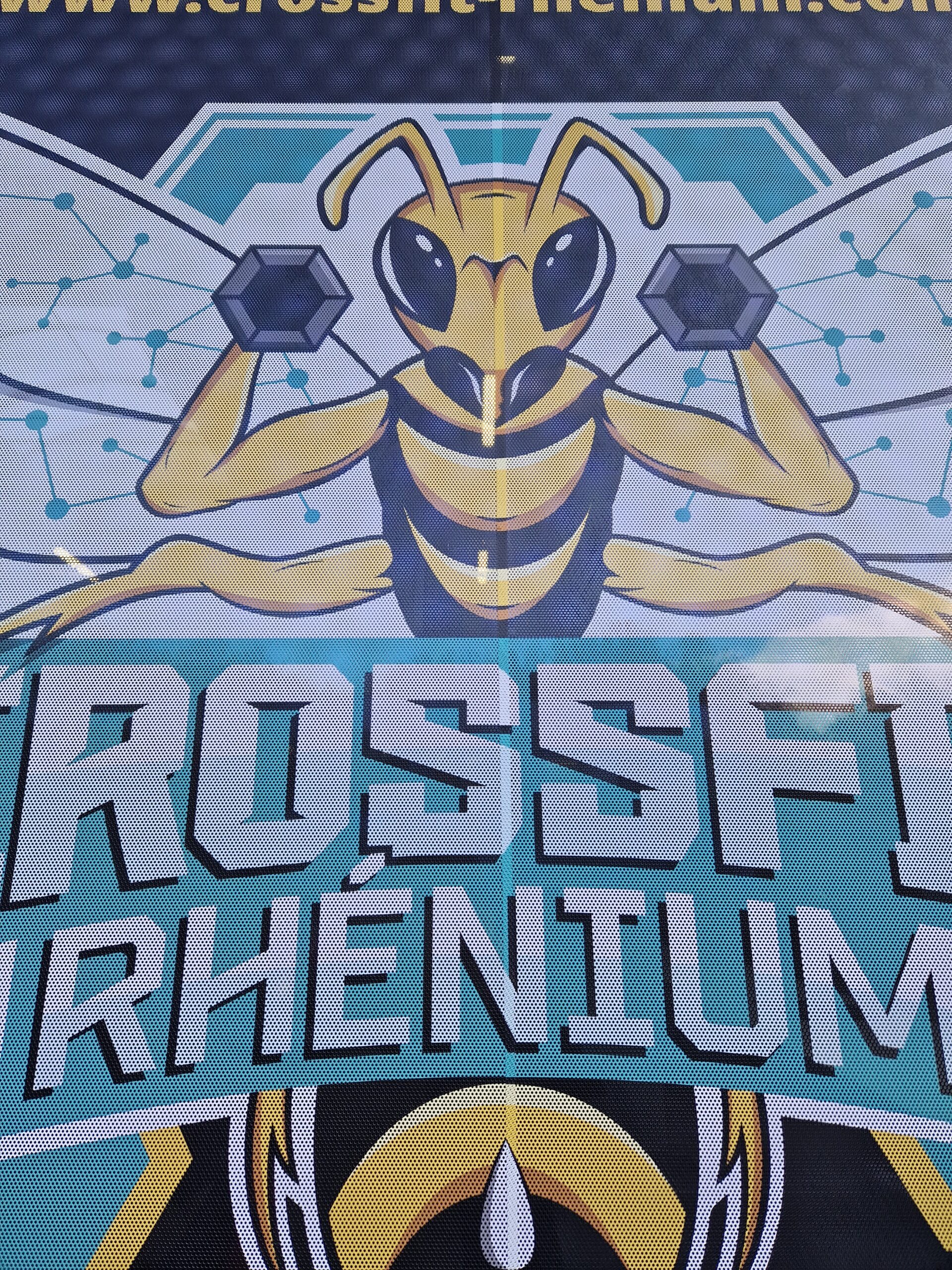 Habillage des vitrines pour CROSSFIT RHENIUM TOURNAI en vinyle micro-perforés grands formats 